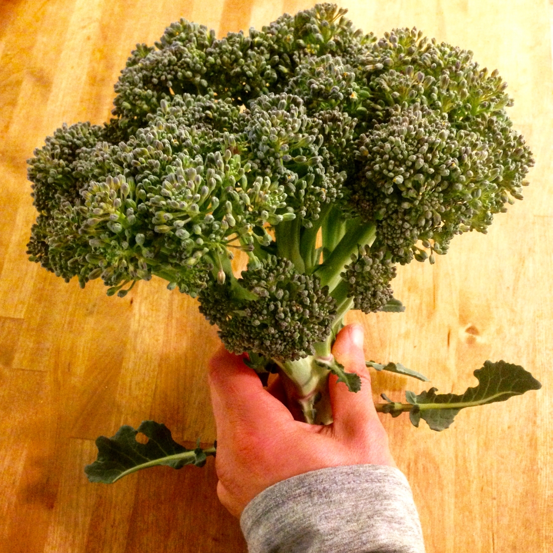 broccoli - 2